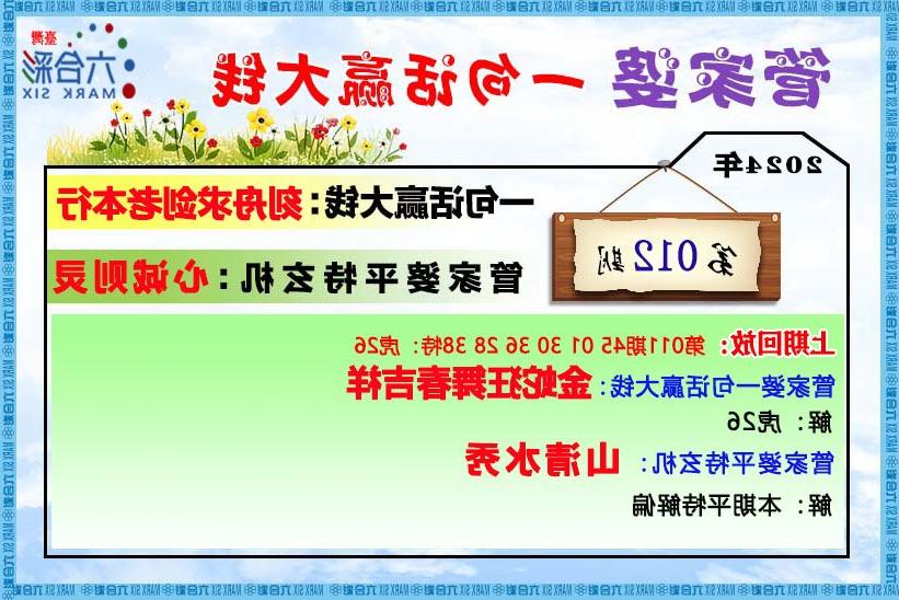 王中王资料与肖管家婆，深度解析与探讨，王中王资料与肖管家婆，深度探讨与解析